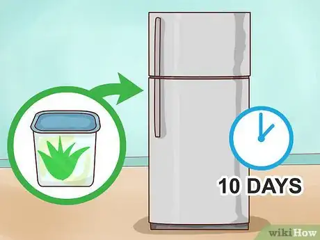 Immagine titolata Store Aloe Leaves Step 9