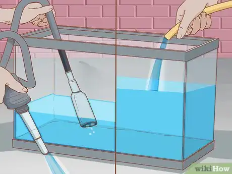 Immagine titolata Treat Fin Rot Step 3