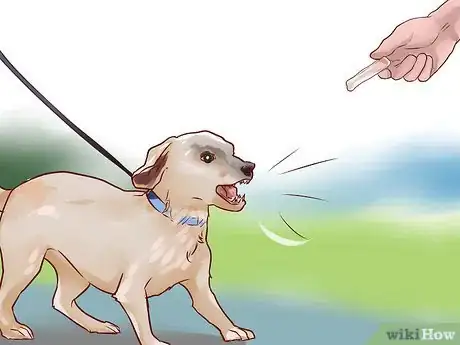 Immagine titolata Train a Guard Dog Step 7
