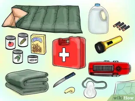 Immagine titolata Pack an Emergency Kit for the House Step 1