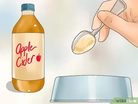 Immagine titolata Keep Fleas Off Dogs Step 5