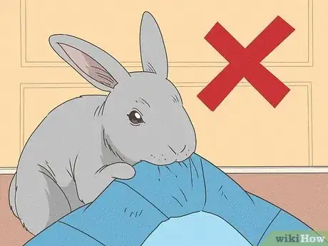 Immagine titolata Care for Rex Rabbits Step 4