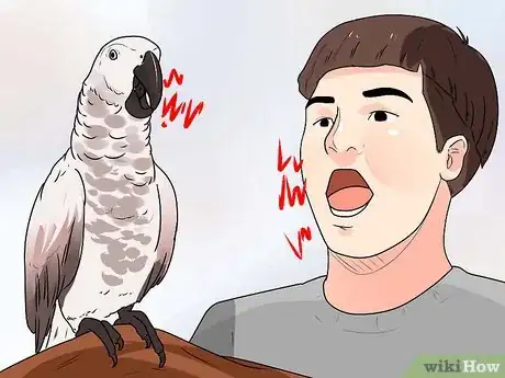 Immagine titolata Train Parrots to Make Less Noise Step 15