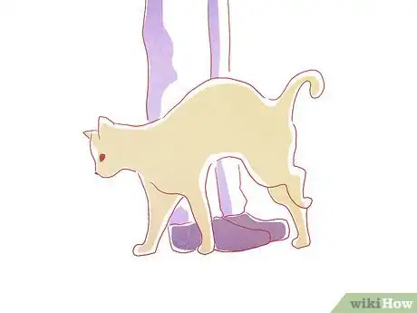 Immagine titolata Have Fun with Your Cat Step 10