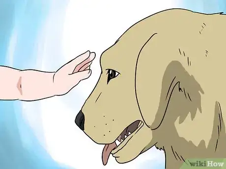 Immagine titolata Introduce Your Baby to Your Dog Step 9