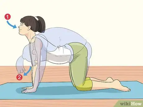Immagine titolata Get a More Flexible Back Step 2