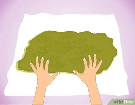 Immagine titolata Remove moisture from moss by putting it in a paper towel Step 4