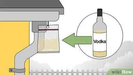 Immagine titolata Get Rid of Flies Outside Step 9