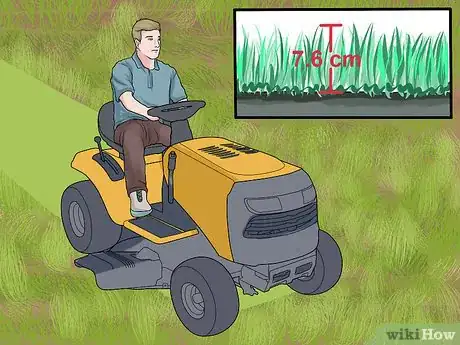 Immagine titolata Sow Grass Seed Step 13
