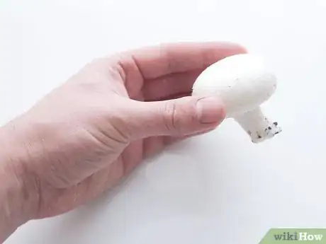 Immagine titolata Keep Mushrooms Fresh Step 5