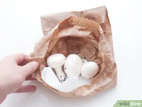 Immagine titolata Keep Mushrooms Fresh Step 2