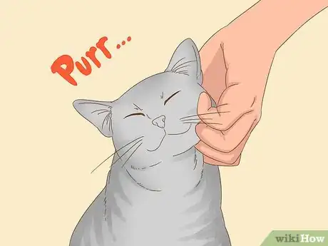 Immagine titolata Communicate with Your Cat Step 10