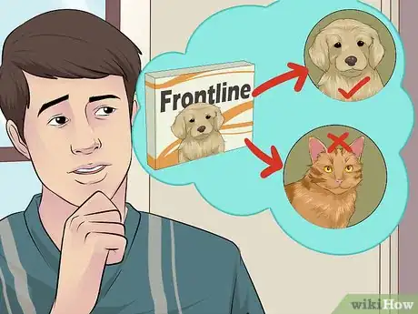 Immagine titolata Apply Frontline Step 10