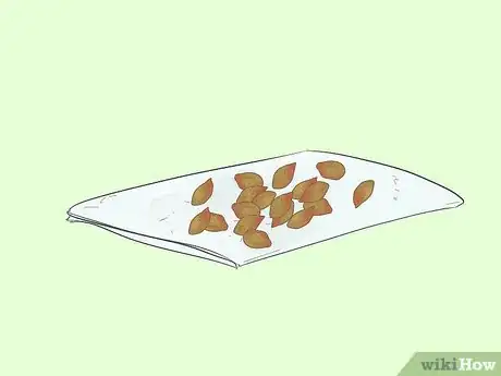 Immagine titolata Germinate Tree Seeds Step 11