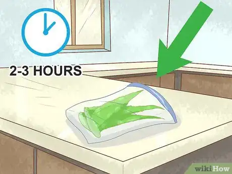 Immagine titolata Store Aloe Leaves Step 3