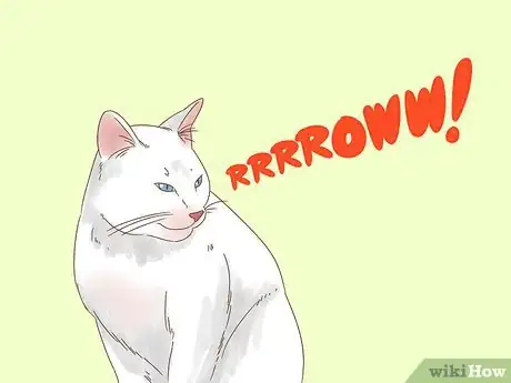 Immagine titolata Communicate with Your Cat Step 11