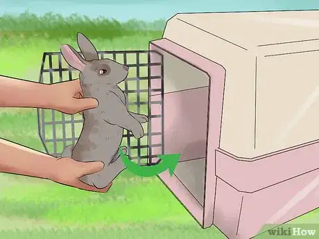 Immagine titolata Catch a Pet Rabbit Step 18
