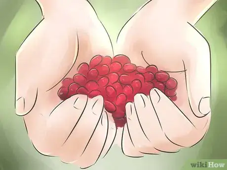 Immagine titolata Grow Cranberries Step 11