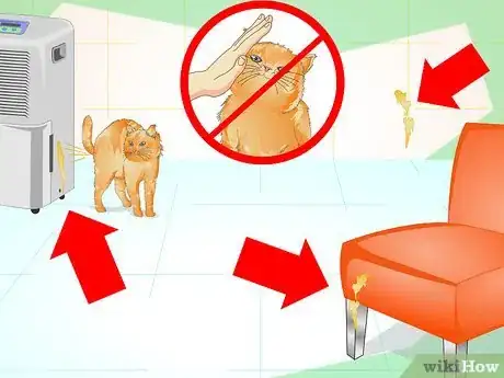 Immagine titolata Prevent a Cat from Spraying Step 8