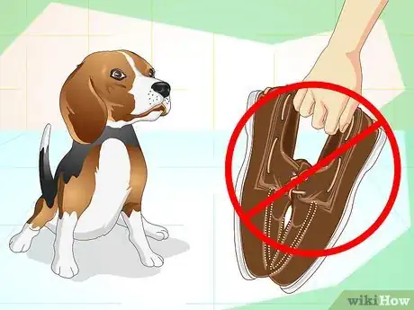 Immagine titolata Keep Your Dog Calm Outside His Crate Step 4
