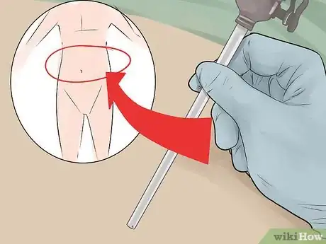 Immagine titolata Embalm Step 16