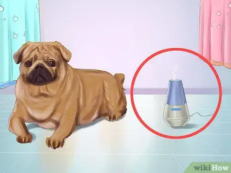Immagine titolata Live with a Pug Dog Step 3