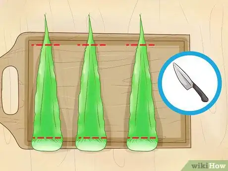 Immagine titolata Store Aloe Leaves Step 5