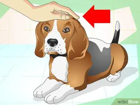 Immagine titolata Keep Your Dog Calm Outside His Crate Step 3