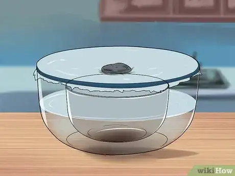 Immagine titolata Build a Still Step 22
