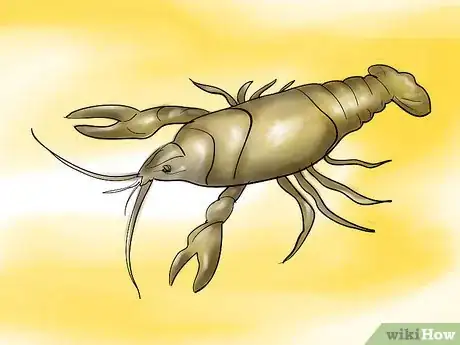 Immagine titolata Bait a Fishing Hook Step 3