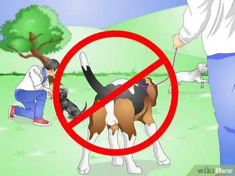 Immagine titolata Keep Your Dog Calm Outside His Crate Step 6
