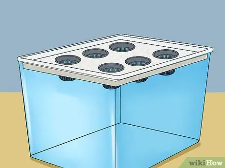Immagine titolata Build a Homemade Hydroponics System Step 11