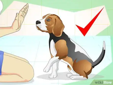 Immagine titolata Keep Your Dog Calm Outside His Crate Step 1