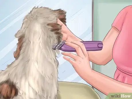Immagine titolata Groom a Dog Step 22