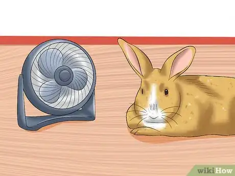 Immagine titolata Treat Heat Stroke in Rabbits Step 17