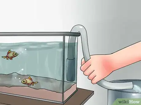 Immagine titolata Test Ph in a Fish Tank Step 10