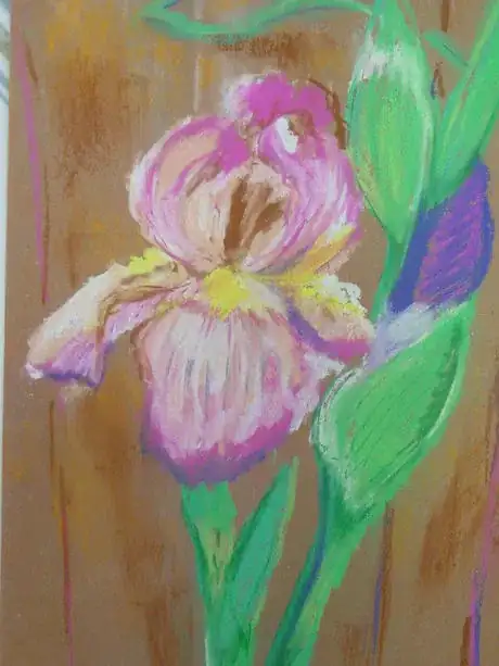 Immagine titolata Iris 1