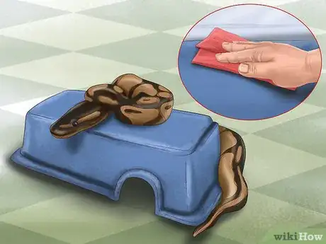 Immagine titolata Care for Your Ball Python Step 14