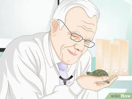 Immagine titolata Feed Your Turtle if It is Refusing to Eat Step 10