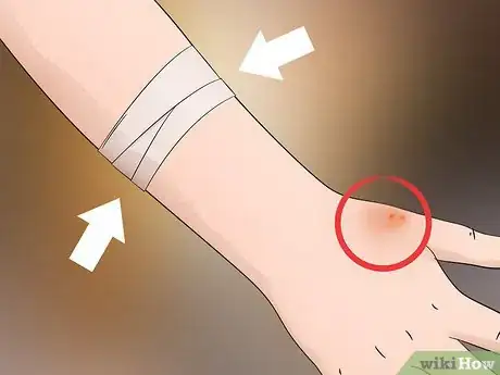 Immagine titolata Identify a Brazilian Wandering Spider Step 7