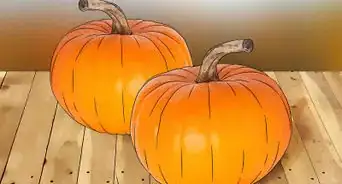 Coltivare la Zucca