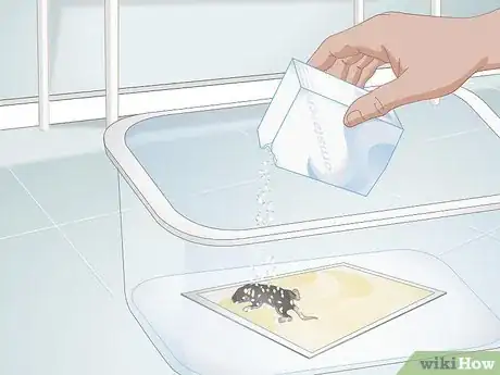 Immagine titolata Remove a Live Mouse from a Sticky Trap Step 13