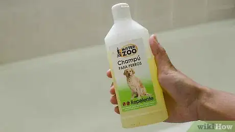 Immagine titolata Make Your Dog Smell Better Step 1