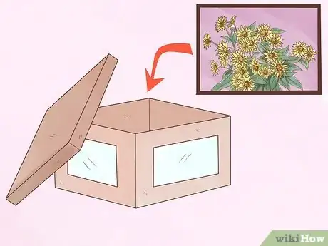 Immagine titolata Care for Woolly Bear Caterpillars Step 2