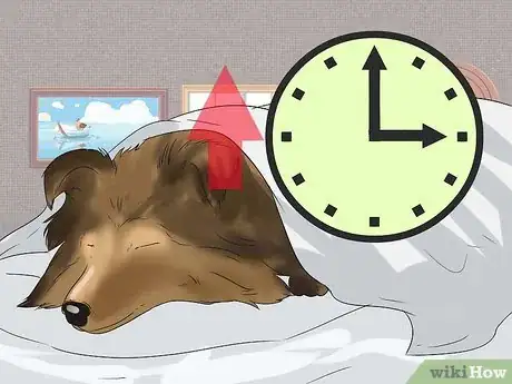 Immagine titolata Tell if a Dog Is in Pain Step 9