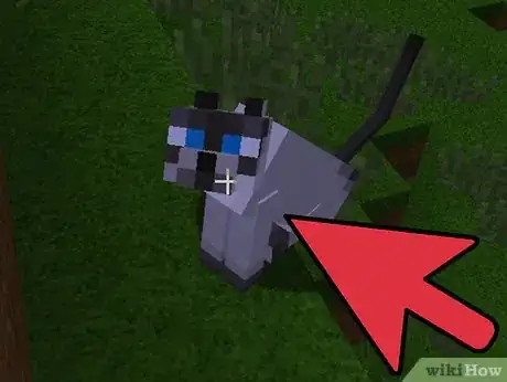 Immagine titolata Get a Minecraft Pet Step 5