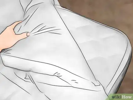 Immagine titolata Avoid Bed Bugs when Traveling Step 4