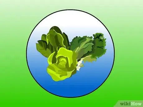 Immagine titolata Maintain a Hydroponic Nutrient Reservoir Step 1