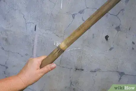Immagine titolata Make a Homemade Fishing Rod Step 1
