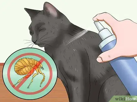 Immagine titolata Stop a Cat from Pulling Its Hair Out Step 9